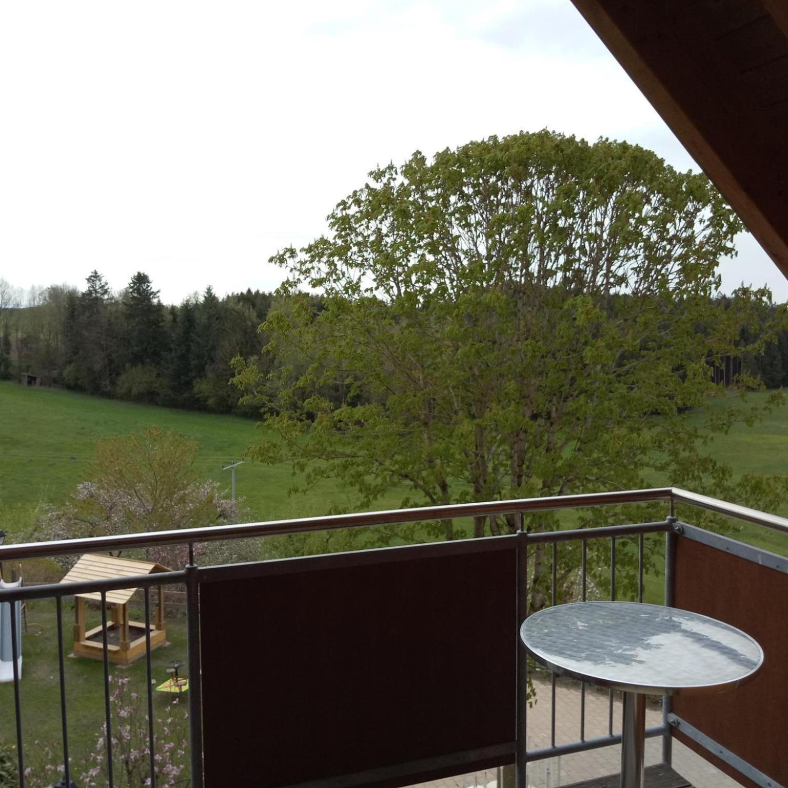 Gasthof Gruener Baum "Kongo" Amtzell Rom bilde