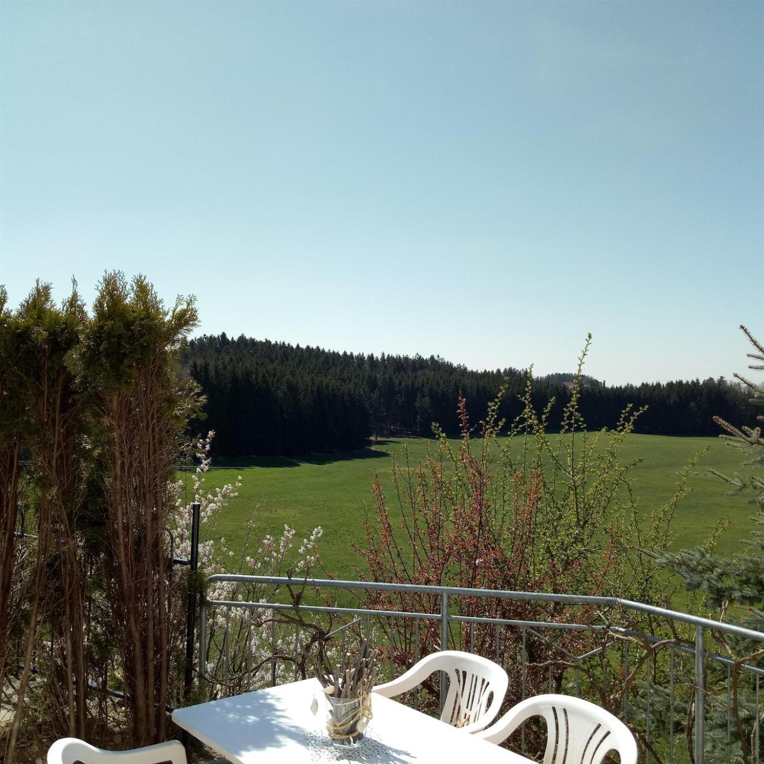Gasthof Gruener Baum "Kongo" Amtzell Rom bilde