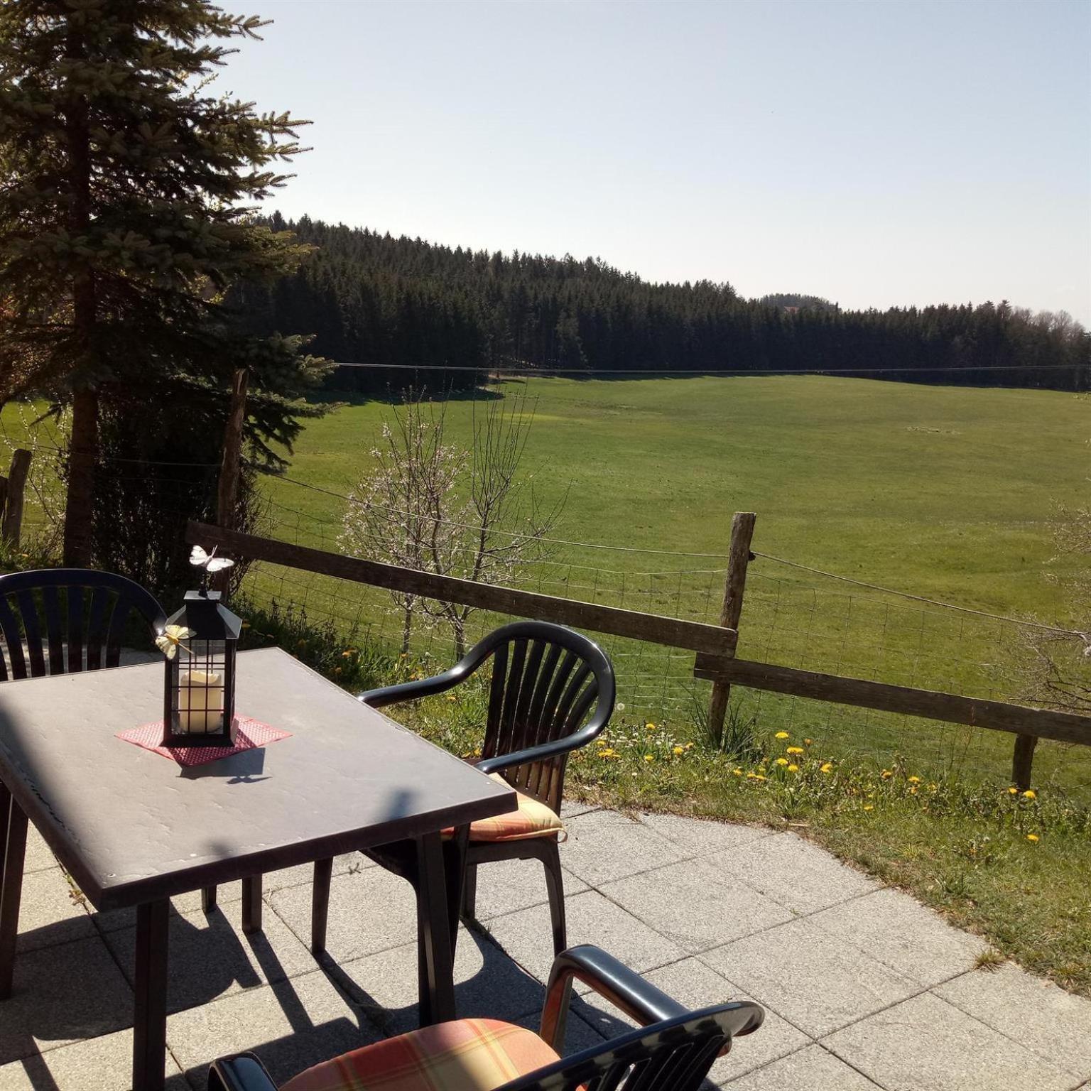 Gasthof Gruener Baum "Kongo" Amtzell Rom bilde